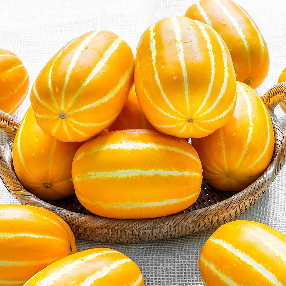 성주 참외 10kg (21-25과)- 이랜드몰
