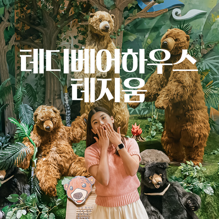 [제주] 테디베어하우스 테지움- KIDIKIDI