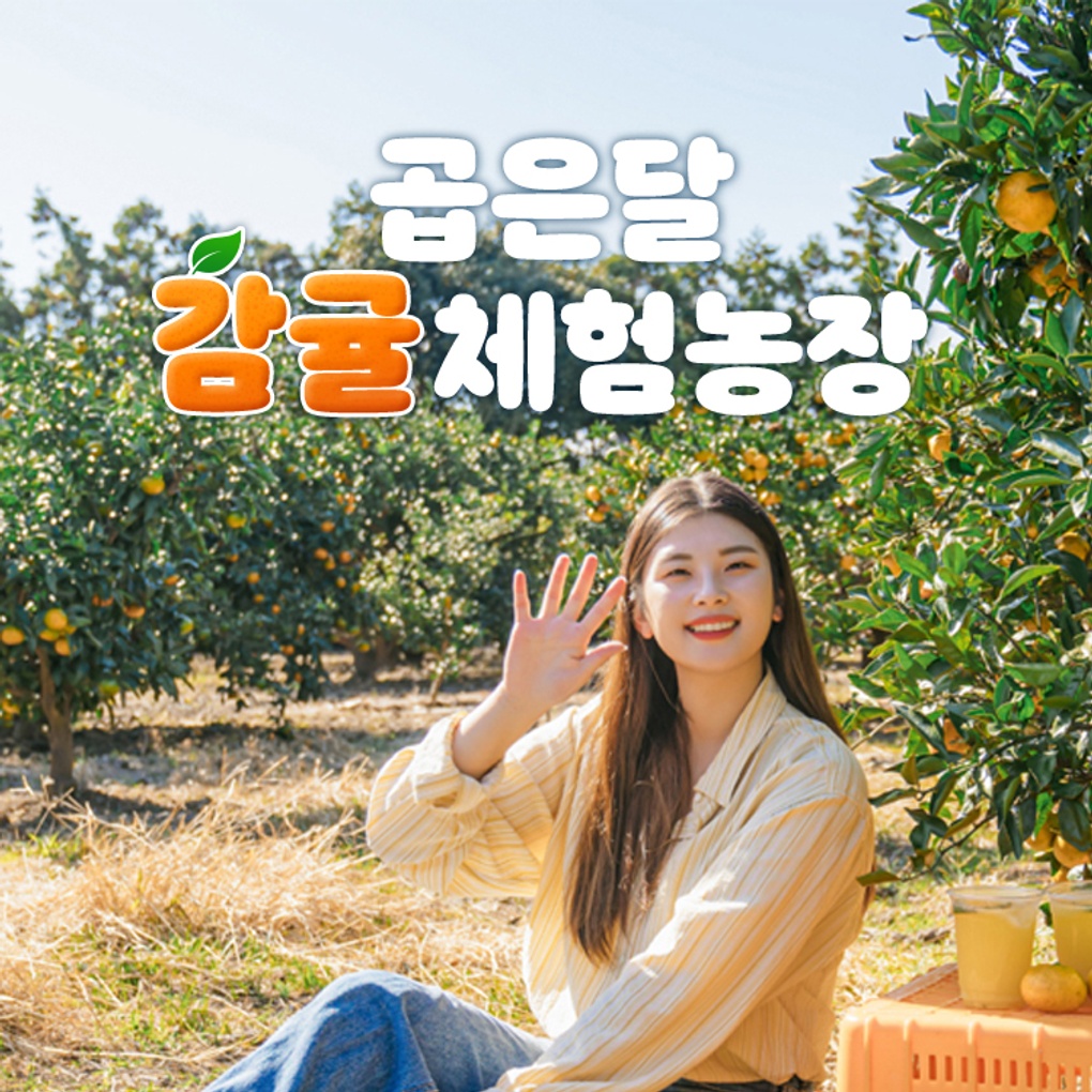 [제주] 제주 곱은달 체험감귤농장- 이랜드몰
